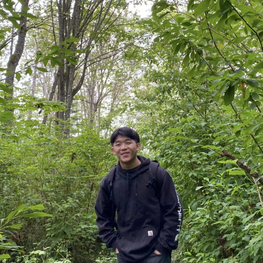 ALAN FAN
